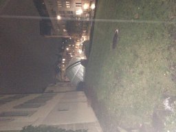 IMG_3891